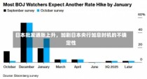 日本批发通胀上升，加剧日本央行加息时机的不确定性