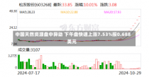 中国天然资源盘中异动 下午盘快速上涨7.53%报0.688美元