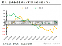 美国10月份PPI环比上升0.2% 符合预期