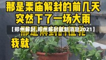 【郑州解封,郑州解封最新消息2021】